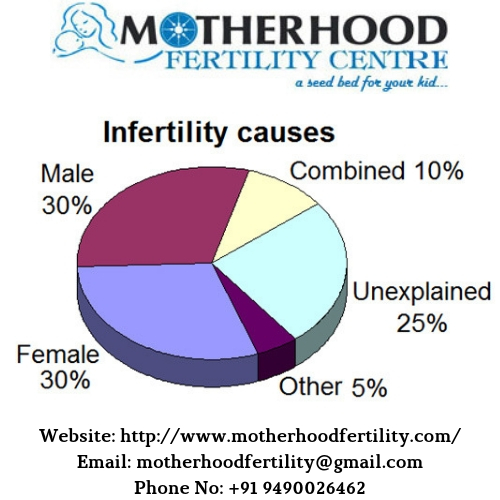 Heres What We Know About Causes Of >> What Are The Main Causes Of Male Infertility Motherhoodfertility Heres What We Know About Causes Of >> What Are The Main Causes Of Male Infertility Motherhoodfertility