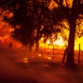 TEASE 02 cnnphotos deadly wildfires RESTRICTED
