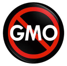 Image result for no GMO'S ADDED