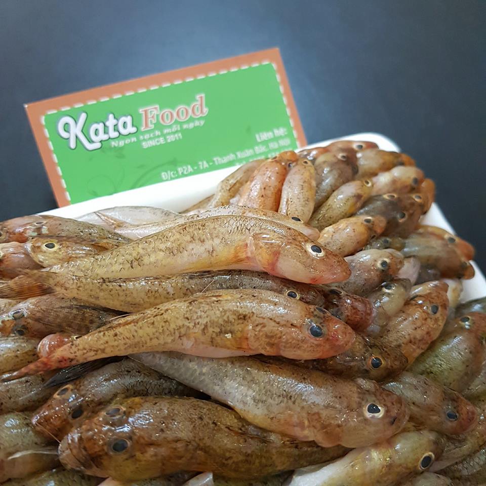 Cá bống suối