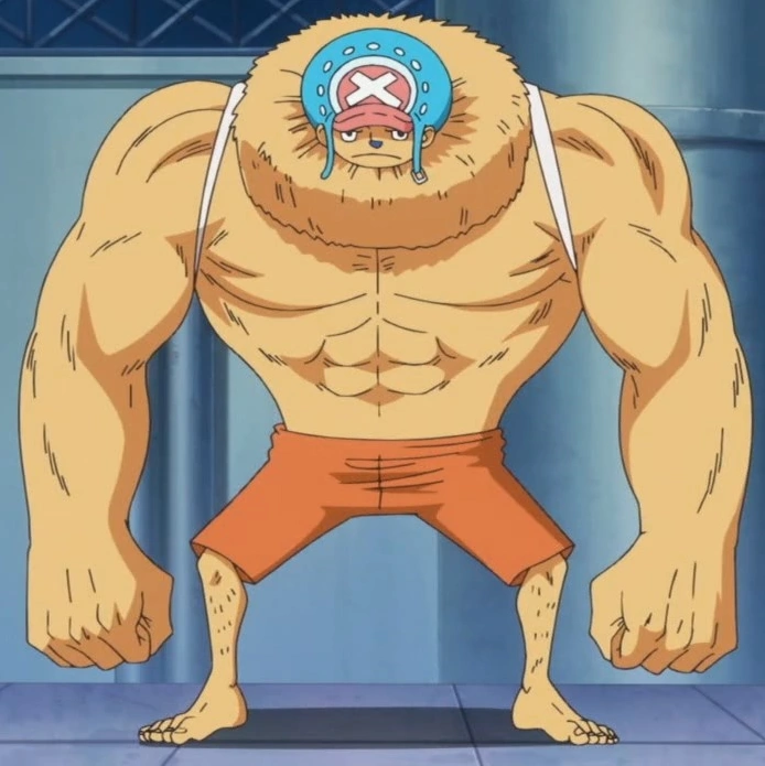 Hito Hito no Mi in One Piece