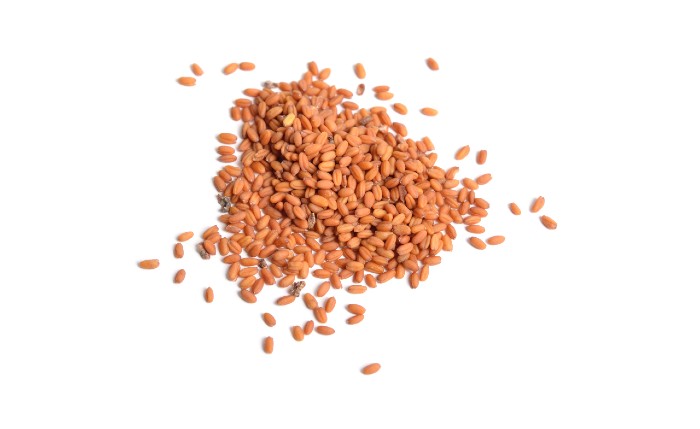 Descubre la mejor forma de cultivar camelina