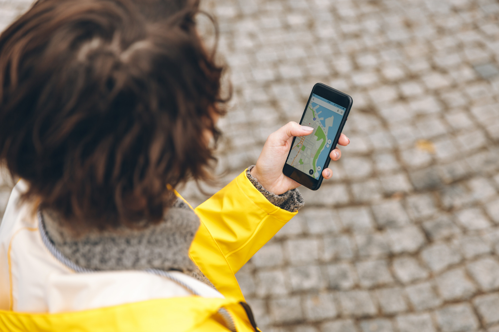 Sygic Travel Maps 
