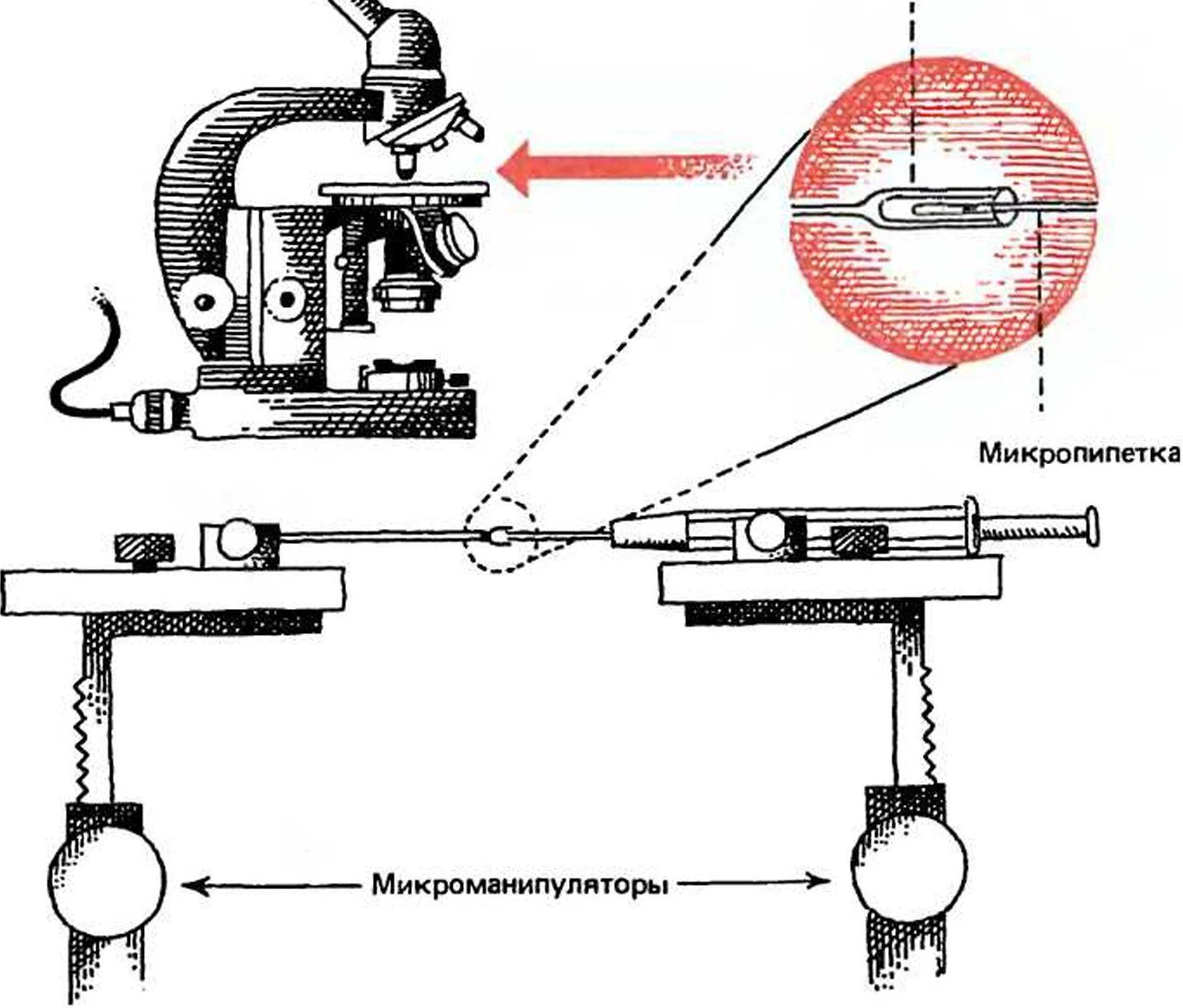 D:\0 wd yedek\acr yedek\1 film indirme\Altın yapmak mümkün mü,.docx_files\image81.jpg