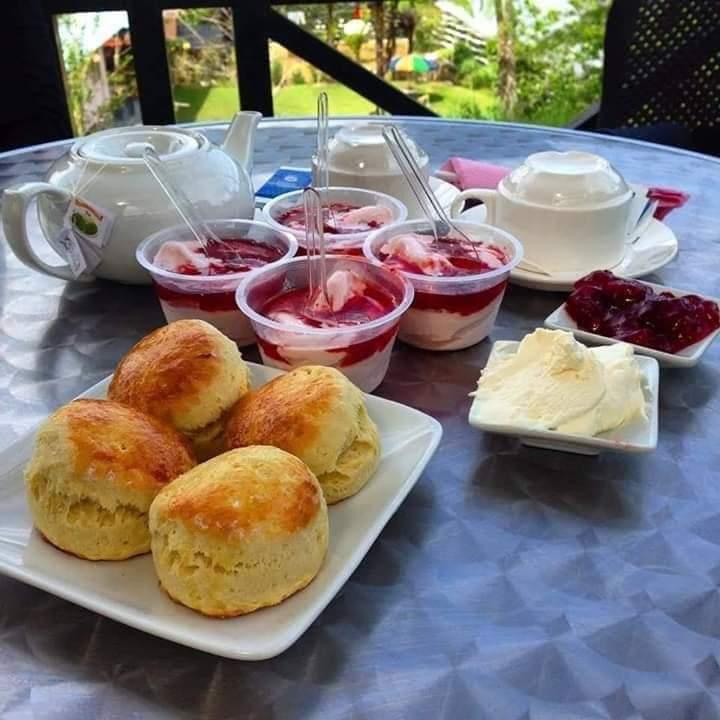 A plate of food on a picnic table

Description automatically generated