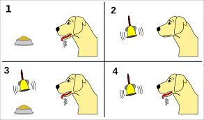 Classical Conditioning - Janesville Free Press