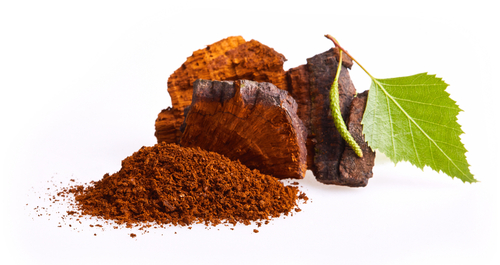 Chaga (Inonotus obliquus) is a type of fungus that grows on the bark of birch trees. Functional Mushrooms and Adaptogens