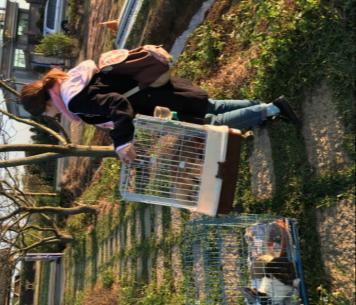C:\Users\loverabbit-a\Desktop\2018-008-017 青林農場(1520-1529)\20180110 - 青林農場案件\IMG_8724.JPG