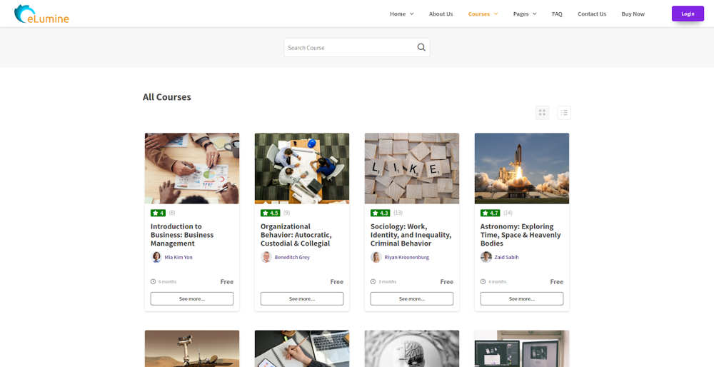 Tema WordPress eLumine