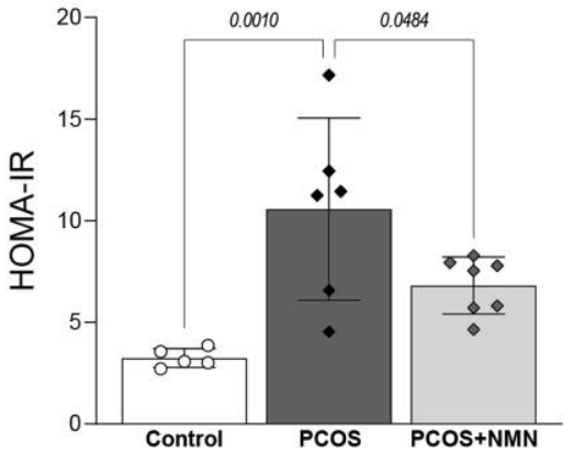 NMN reverses PCOS insulin resistance