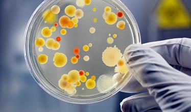 Image result for microbiology