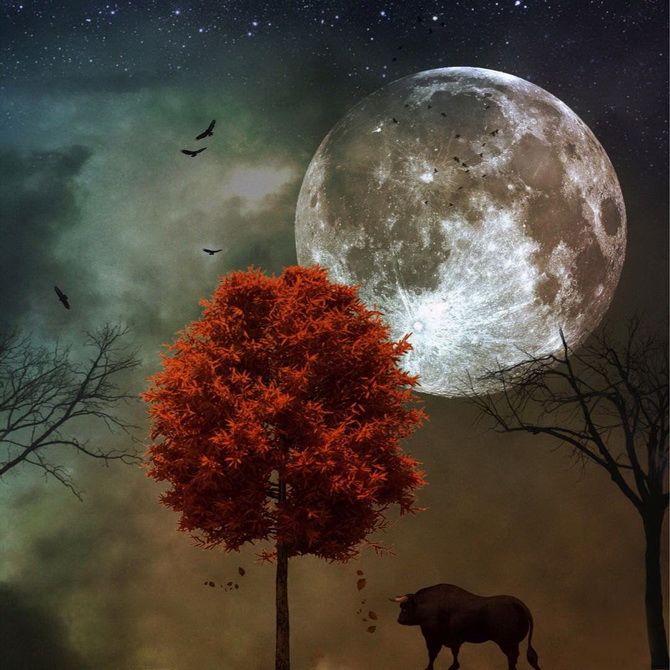 Beaver Moon - Full Moon November 2021 2