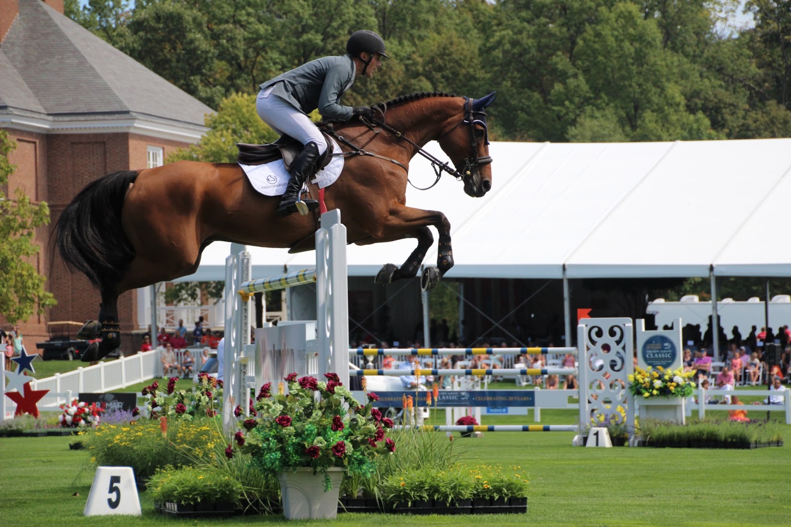 International rider on a bay show jumper clears a large vertical
