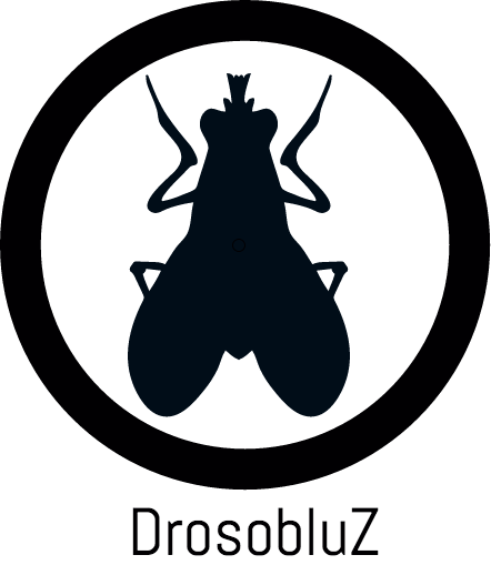 Logomakr_04QN9X.png