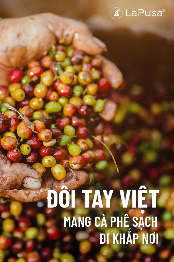 cà phê nguyên bản là gì  vị cà phê nguyên bản  cà phê nguyên bản ở việt nam  hương vị cà phê nguyên bản  công ty cà phê nguyên bản  bảng giá cà phê nguyên chất  nguyên bản của cà phê