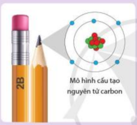 Câu hỏi trang 14 SGK TN&XH 7 CD tập 1