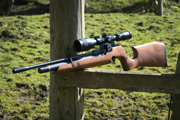 air rifle out in the field