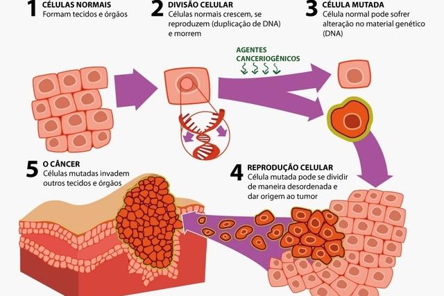 O que é câncer, como surge e diagnóstico - Tua Saúde