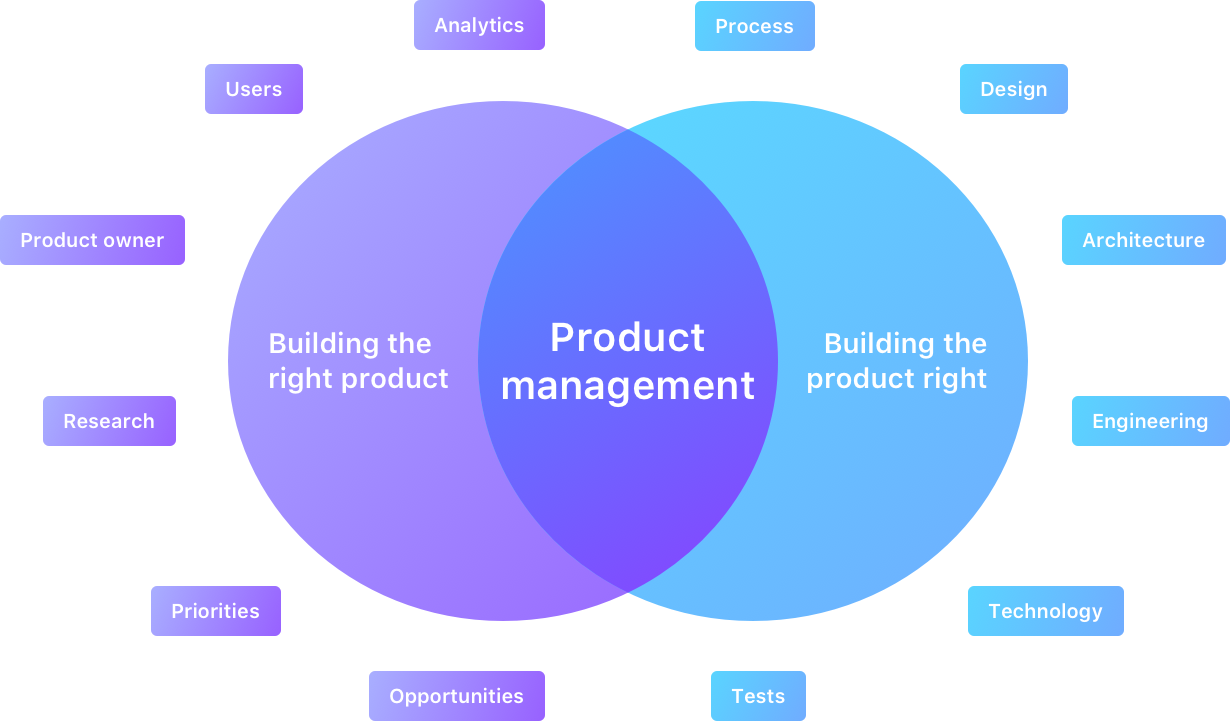 What Is Product Management?