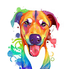 Dog Art
