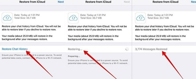 Recover Deleted WhatsApp Messages from iCloud