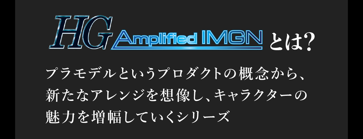 Hg amplified imgn 龍神 丸 予約