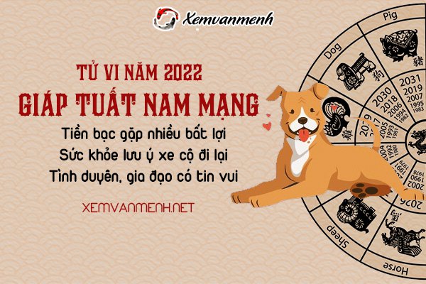 tu-vi-tuoi-giap-tuat-nam-2022-nam-mang-1994