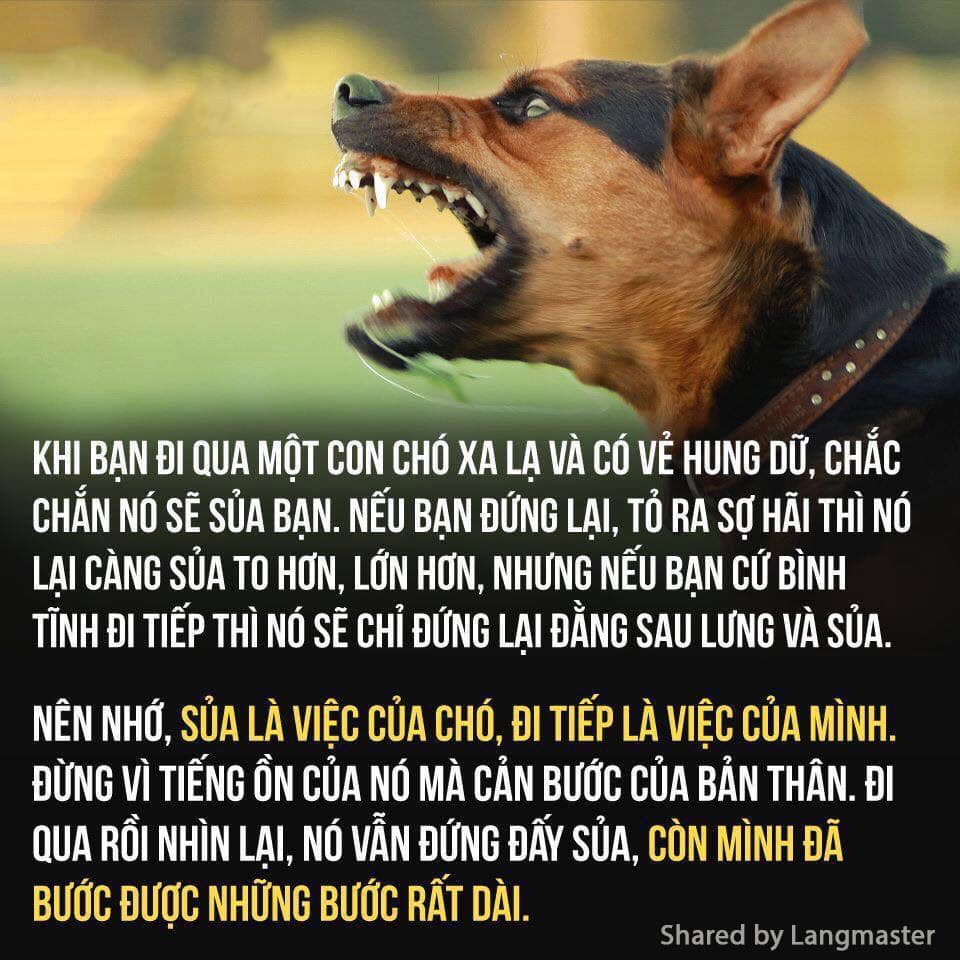 Trong hÃ¬nh áº£nh cÃ³ thá» cÃ³: chÃ³ vÃ  vÄn báº£n