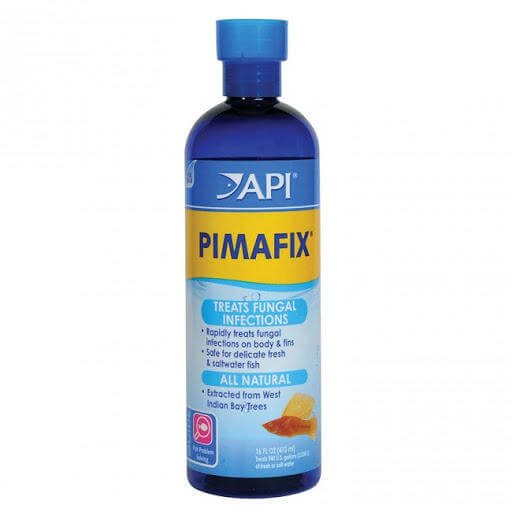 Thuốc đặc trị Pimafix của Mỹ trị nấm hiệu quả ở cá Koi
