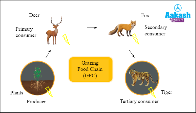 Ecology: Types, Significance In Biology: Definition, Types And ...