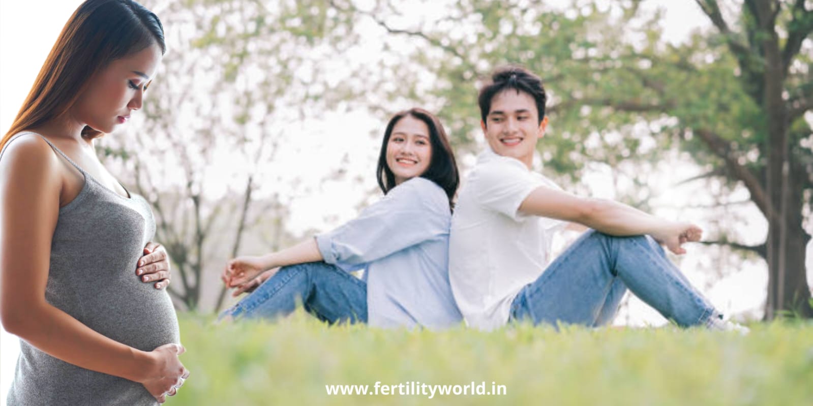 Understand the surrogacy cost in Mizoram