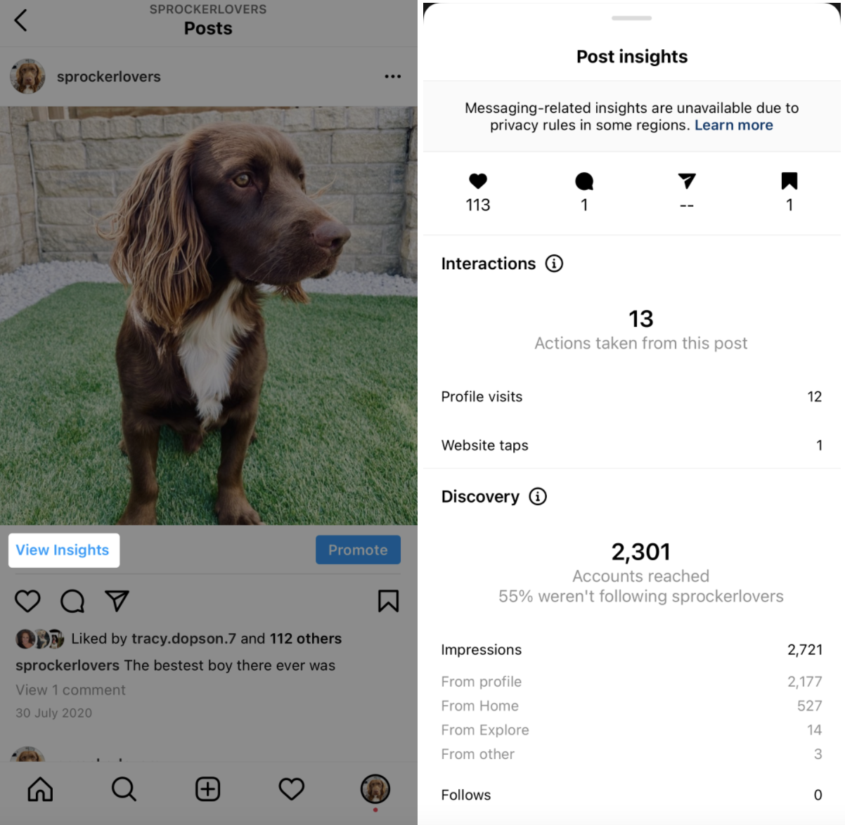 instagram insights for target audience research