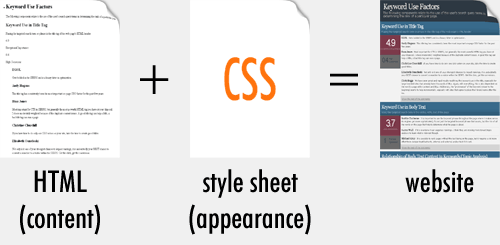 HTML, CSS and JavaScript – Why are they important? - UnicMinds