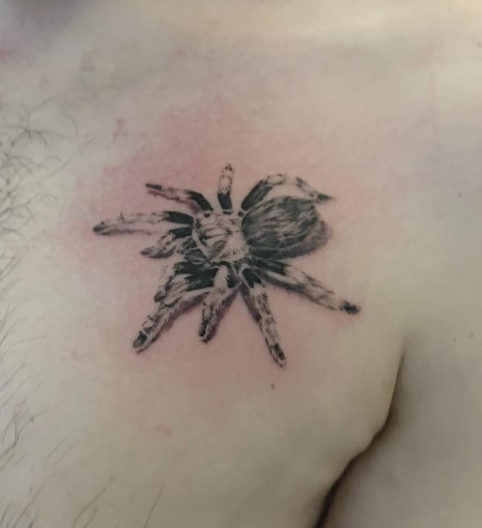 Tarantula Chest Tattoo