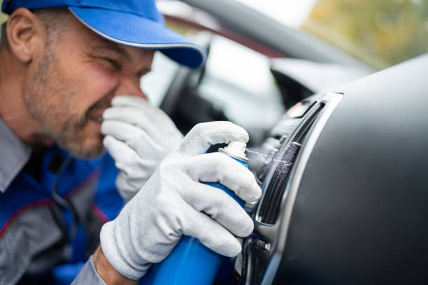 Different Types of Car Smells