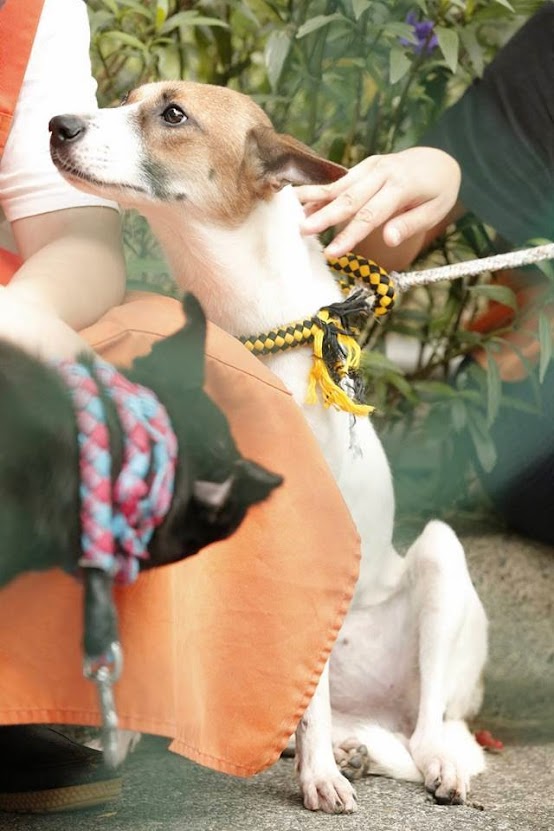 圖檔