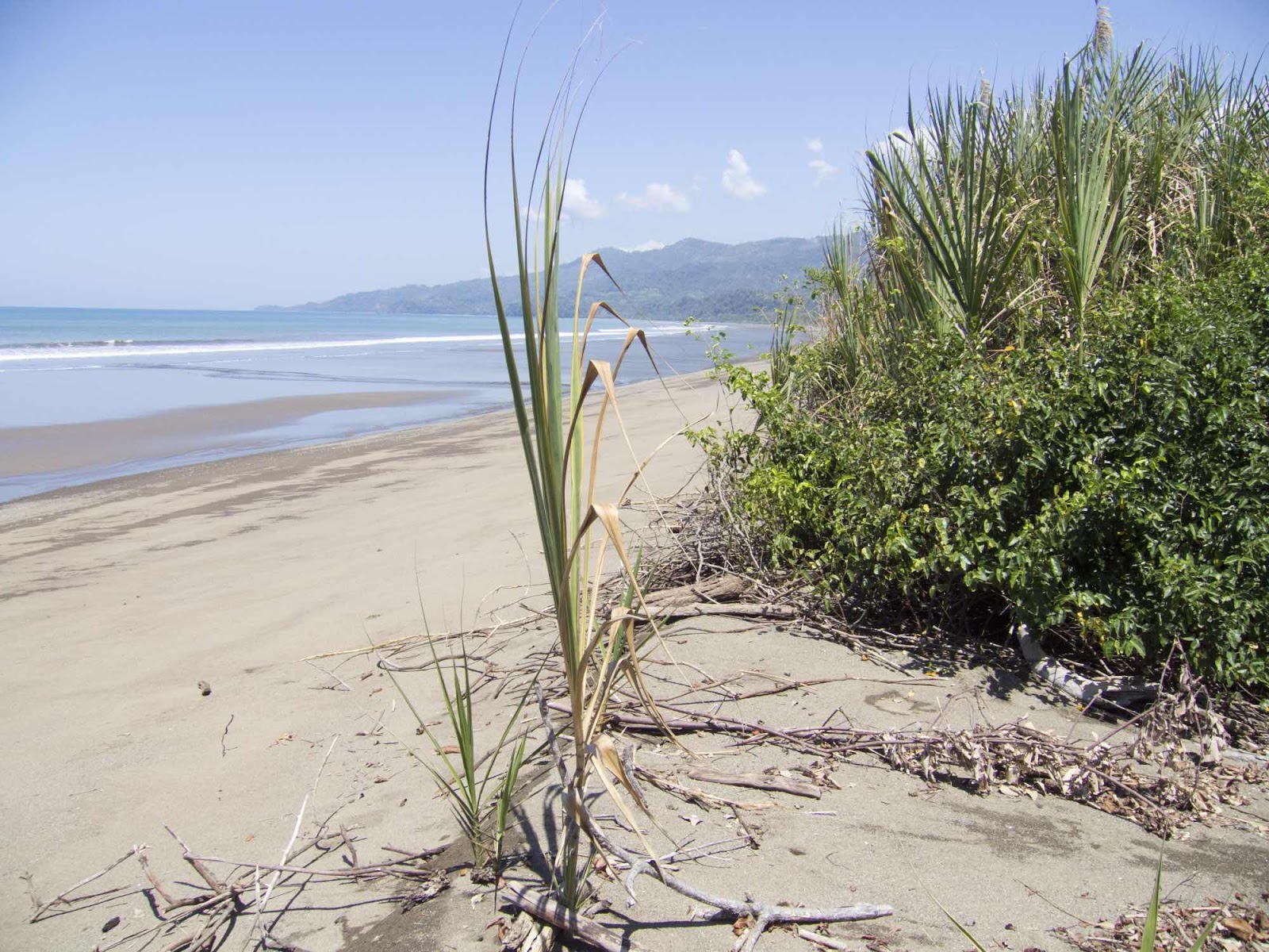 Marina Ballena, Costa Rica