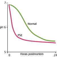 Gráfico pH da carne PSE