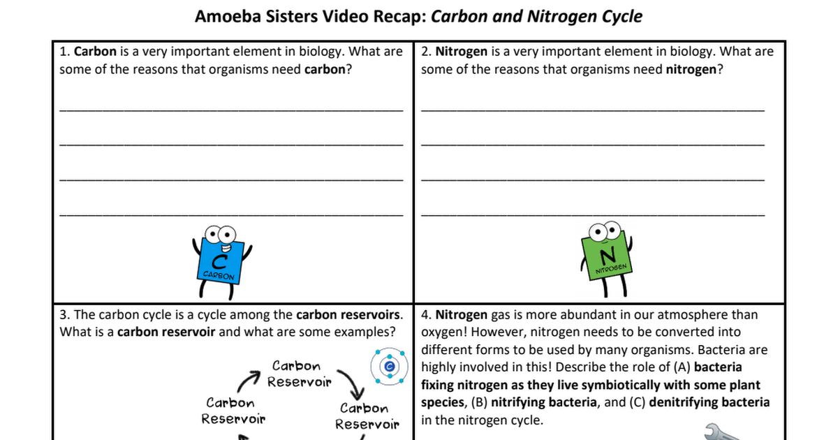 Amoeba Sister Carbon and Nitrogen Cycle Video Recap pdf Google Drive