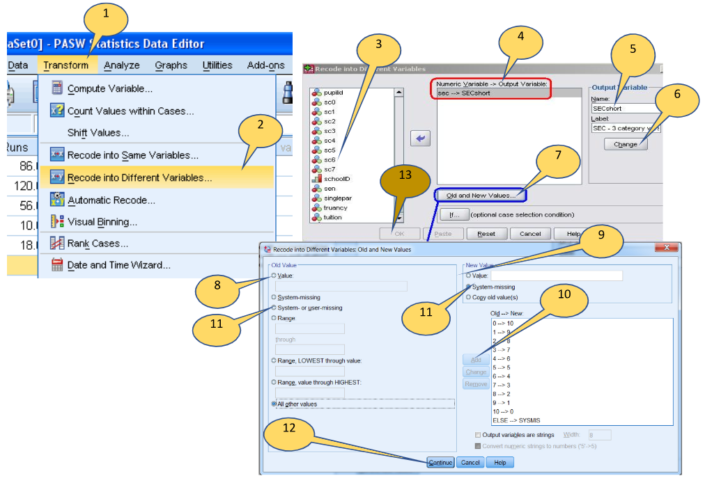 Screen shot from SPSS software showing Data Editor > Transform menu options