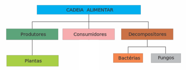 Exemplo de cadeia alimentar - ecologia