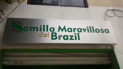 Semilla Maravillosa del Brazil