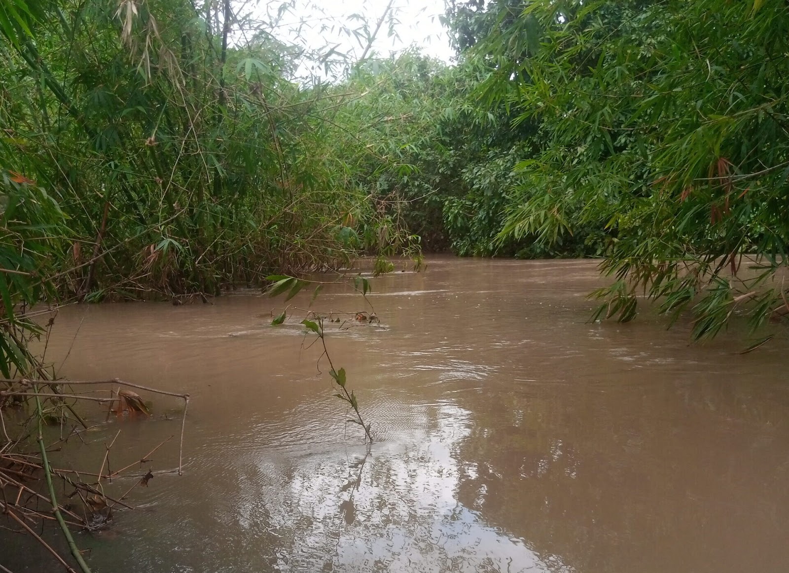 River Residents get water for use