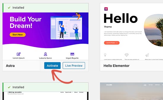 Instale e ative o tema WordPress