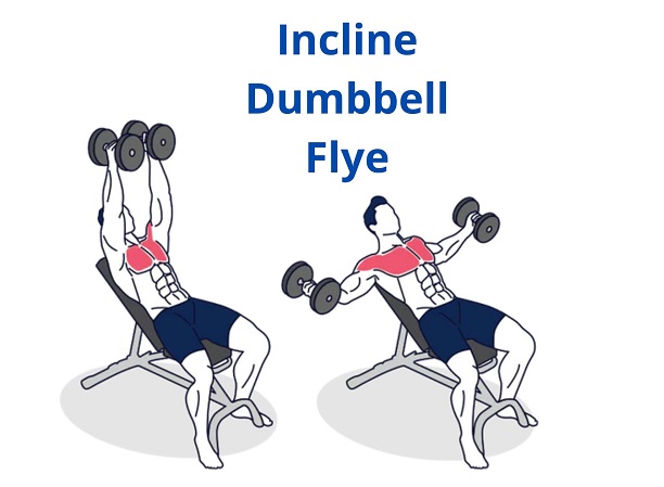 9. Incline Dumbbell Flye