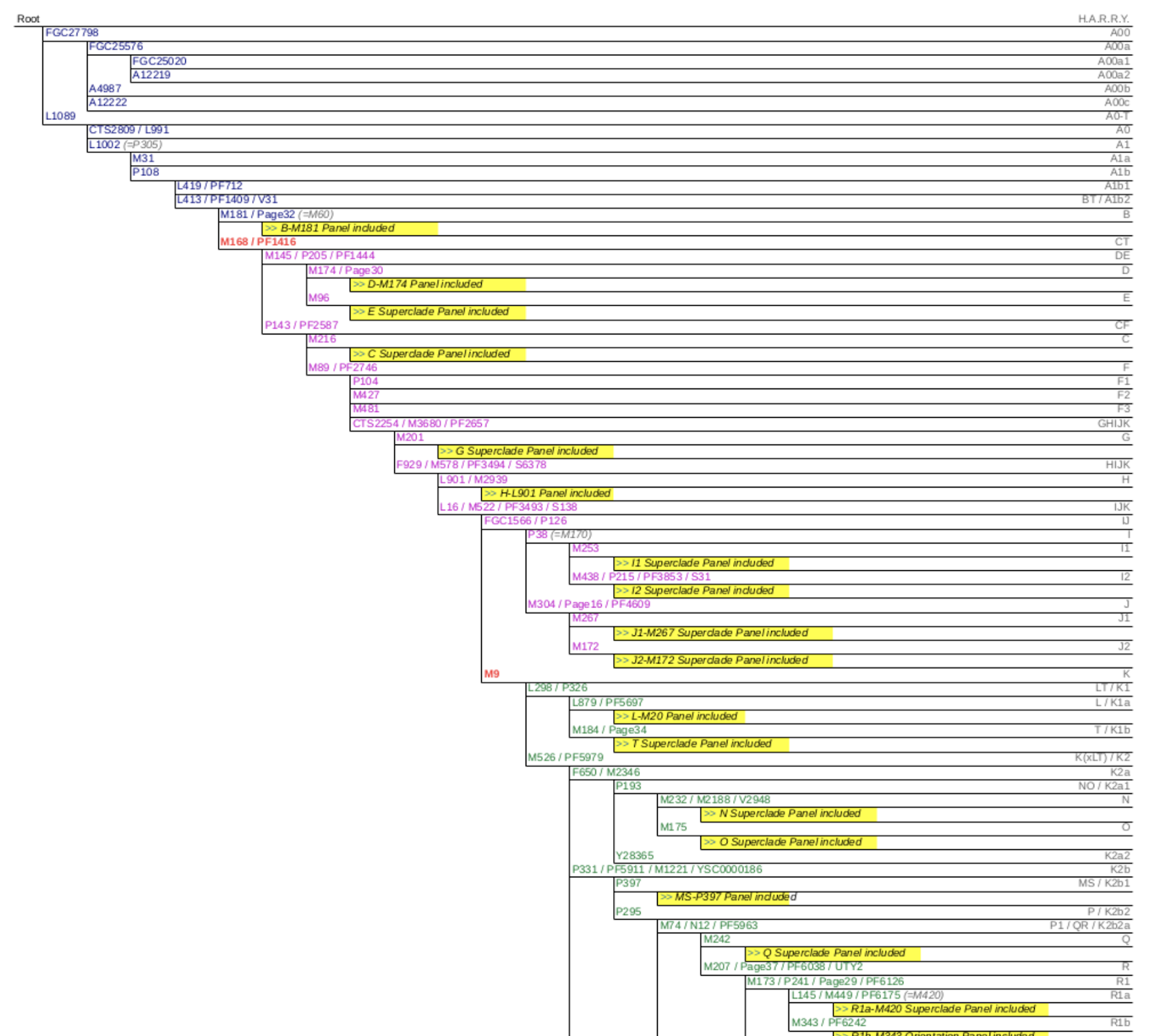 YSEQ Y chromosome haplogroup tree.