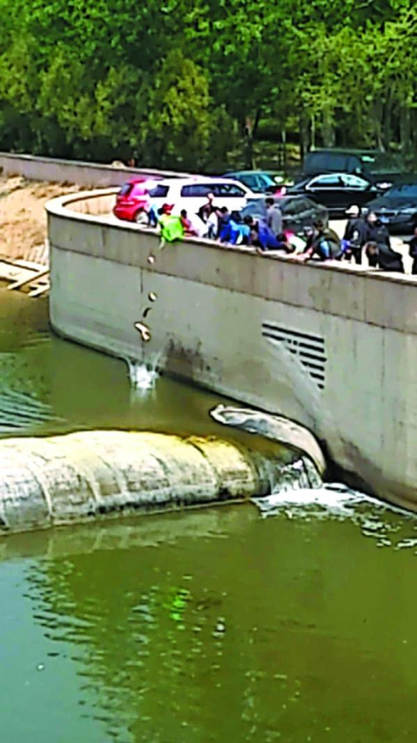 People release fish into the Chaobai river. (via Beijing Evening News)