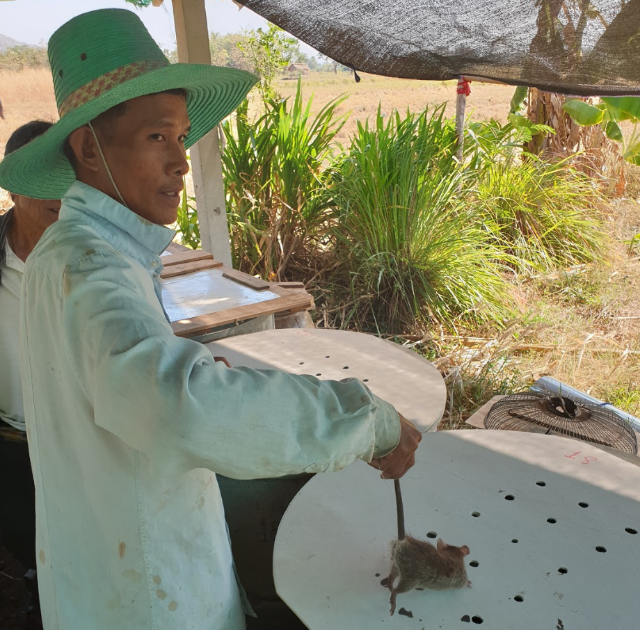 Uncle Nawm’s community forest in Thailand