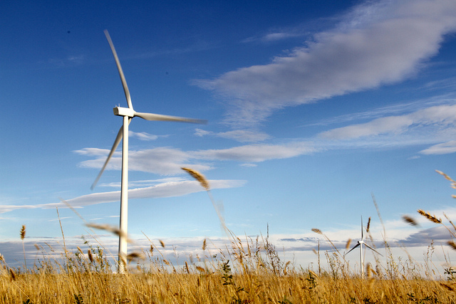 wind turbine in a field
