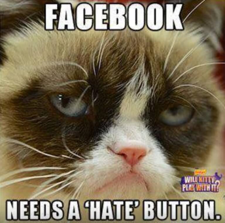 School Thoughts Told By Grumpy Cat Memes Her Campus